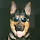 Marc Bauer's profile photo