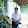 AnhVT's profile photo