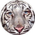Avatar de Lydia.o