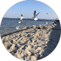 Orbium Seminare Berlin | Train the Trainer - Berlin
