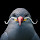 Celar's profile photo