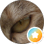 Sergio Vi (m3nhir)