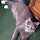 Gloria Wentworth's profile photo