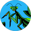 Avatar for Vickie Scott