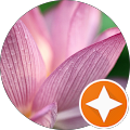 WMIT Solutions GmbH | Softwareentwicklung - Ransbach-Baumbach