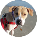 Jennifer Dianovsky's profile image