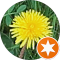 Mail Marketing (Scotland) Ltd - Glasgow