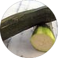 Avis de Zucchini.a avec une note de 5 sur 5