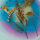 panoplayer's profile photo