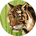Avatar de catelain.l