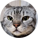 多島正俊のプロフィール画像