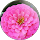 Debbie Bowman - Verified Pet Cremation Reviewer