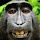 jl...@aol.com's profile photo