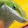 bigwavemaui's profile photo