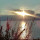 Neslihan Demir's profile photo