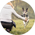 Massagetherapie | Cranio | Shiatsu | Angela Hofstätter - Wien