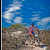 Grupo Travel Mate