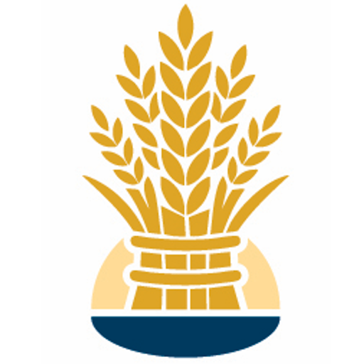 Circular Image