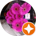 Saysana Songvilay: Primerica - Financial Services - Elgin, IL