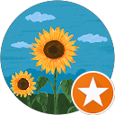 Kristin's profile image