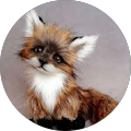 Avatar de Isabelle.R