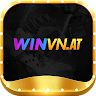 winvnat