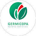 Germicopa Mktg