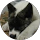 Abigail Beck profile picture