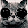 Kokosik's profile photo