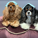Dr. Debbie L. Amundson photo