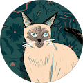 Avatar de KHADIJA.A