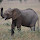 jcha...@gmail.com's profile photo