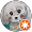 I “マルチーズ” B
