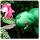 R. Gratis's profile photo