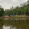 Photo of Henrique Pereira