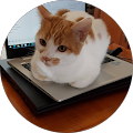 Avatar du profil de Hanh Le