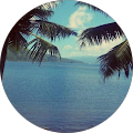 Avatar de Tehau_987.