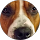 barbara sohayda profile picture