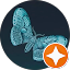 Fairouz Hasan