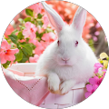 Fabians Webdesign - Stockerau