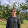 João Afonso Poester's profile photo