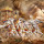 maadhu.s...@gmail.com's profile photo