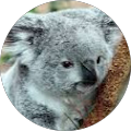 Avatar de Luc.E