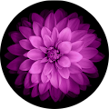 Avatar de Alexia.i