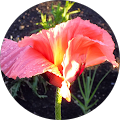 Parkland Funeral Services - Stony Plain, Alberta
