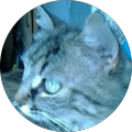 Avatar de Laure.o
