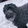 daveg's profile photo