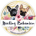 Healing Bohemian French Bulldogs