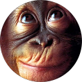 Avatar de Mathilde.i
