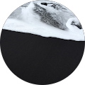 Avatar de Ismaelhdunbar.